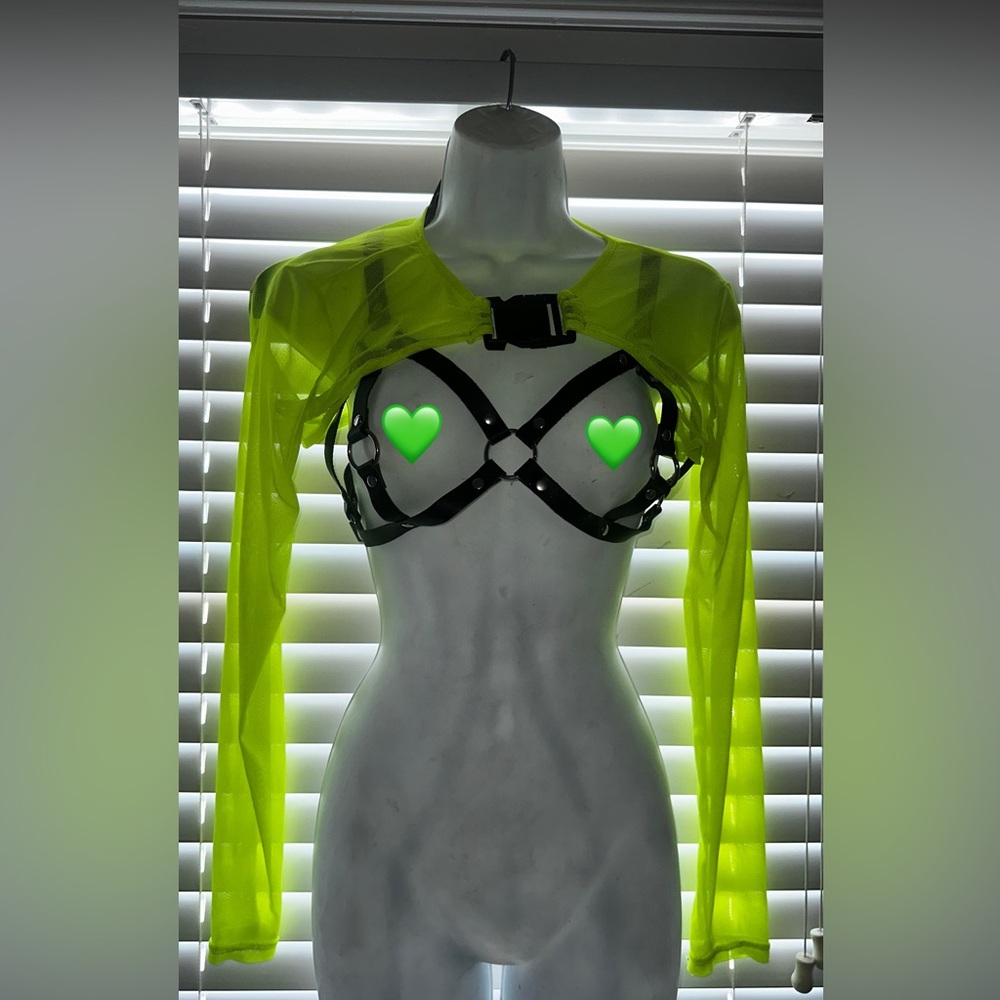 Rave Mesh Crop top